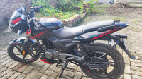 Ebony Blk Red Dlk Bajaj Pulsar 150 Twin Disc BS6