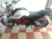 White Benelli TNT 25