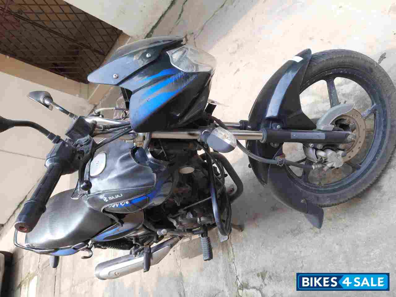Blue Black Bajaj Discover DTSi 125