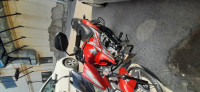 Red Honda CB Shine SP