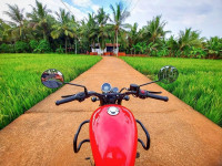 Royal Enfield Meteor 350 Fireball