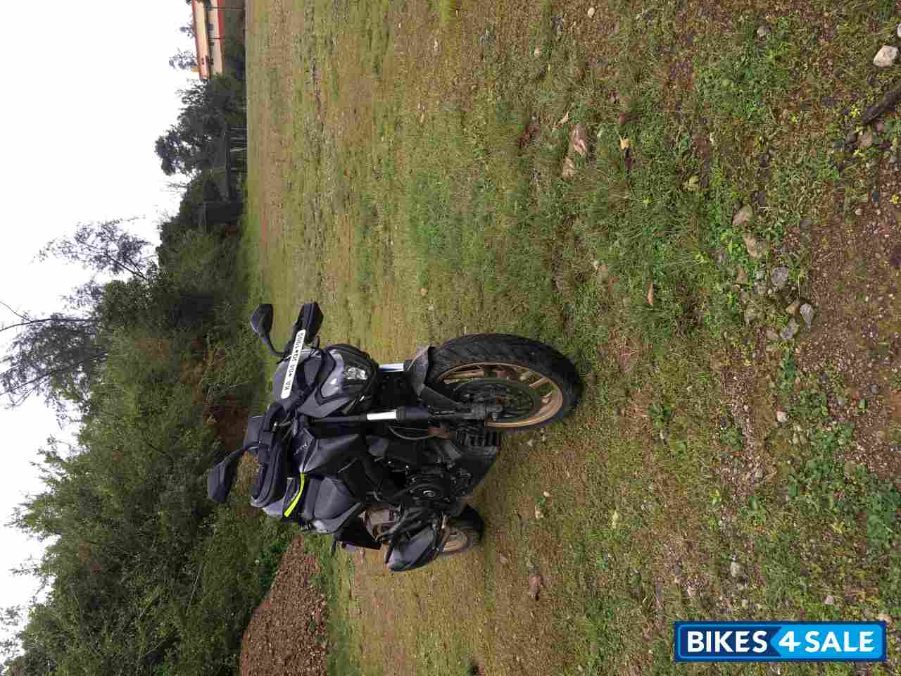 Matt Black Bajaj Dominar 400 Disc