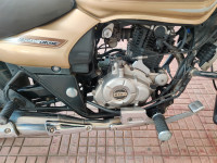 Gold Bajaj Avenger Cruise 220