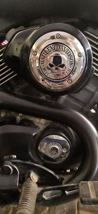 Black Harley Davidson Street 750