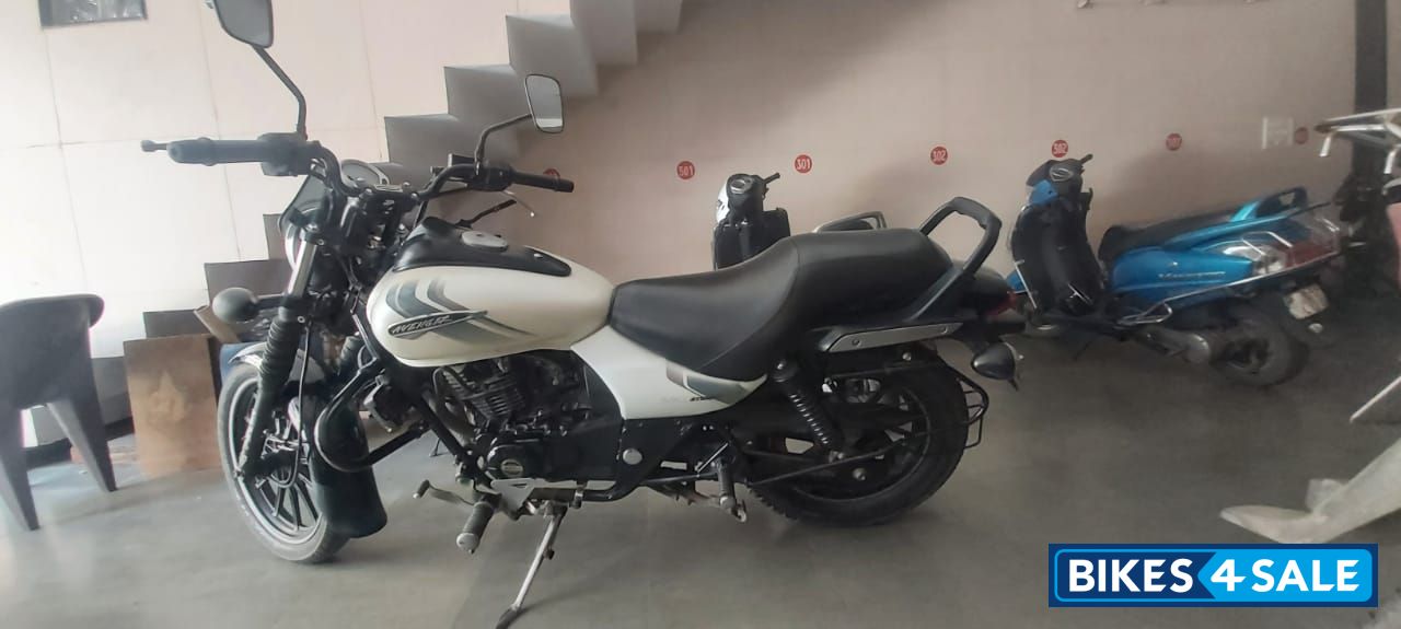 Bajaj Avenger