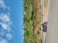 Burgundy Shine UM Renegade Commando