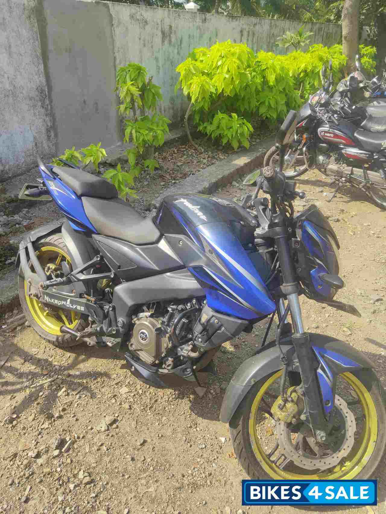 Blue N Black Bajaj Pulsar 200 NS