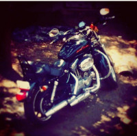 Black Harley Davidson Superlow