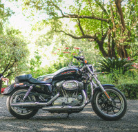 Black Harley Davidson Superlow