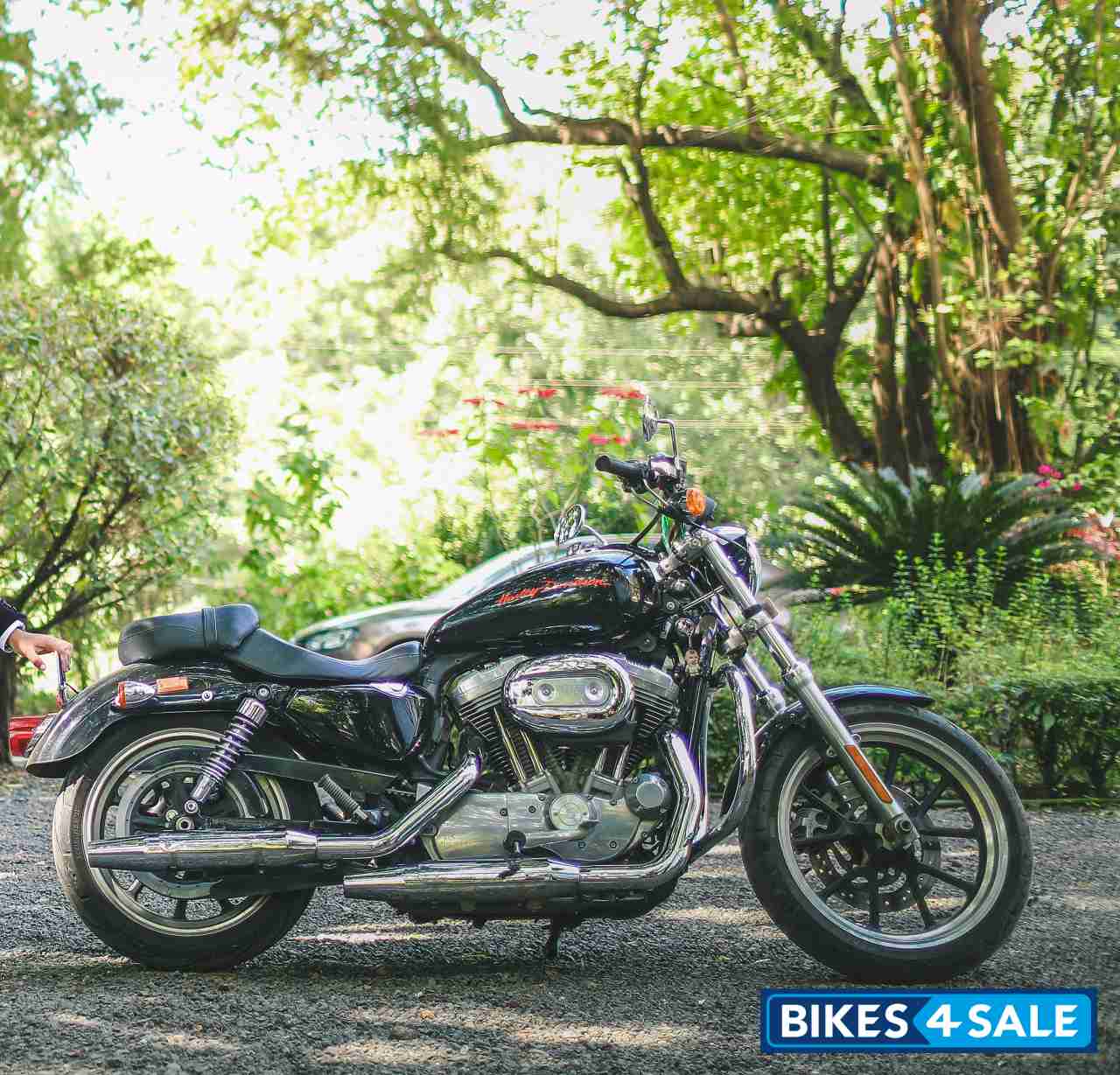 Black Harley Davidson Superlow