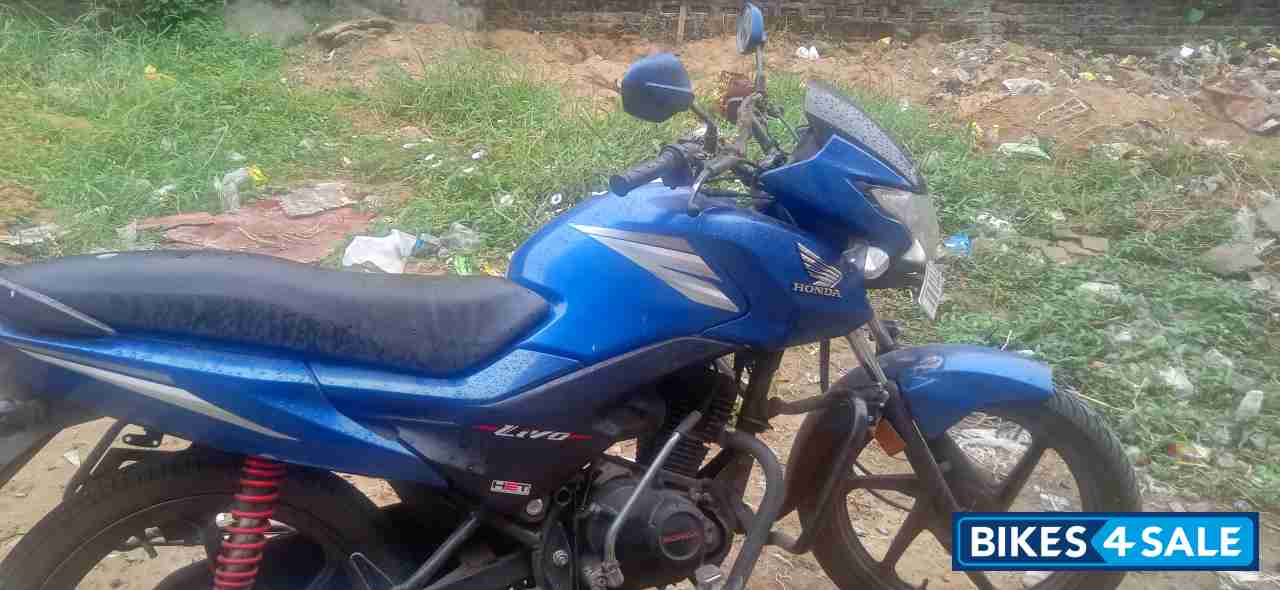 Blue Honda Livo 110