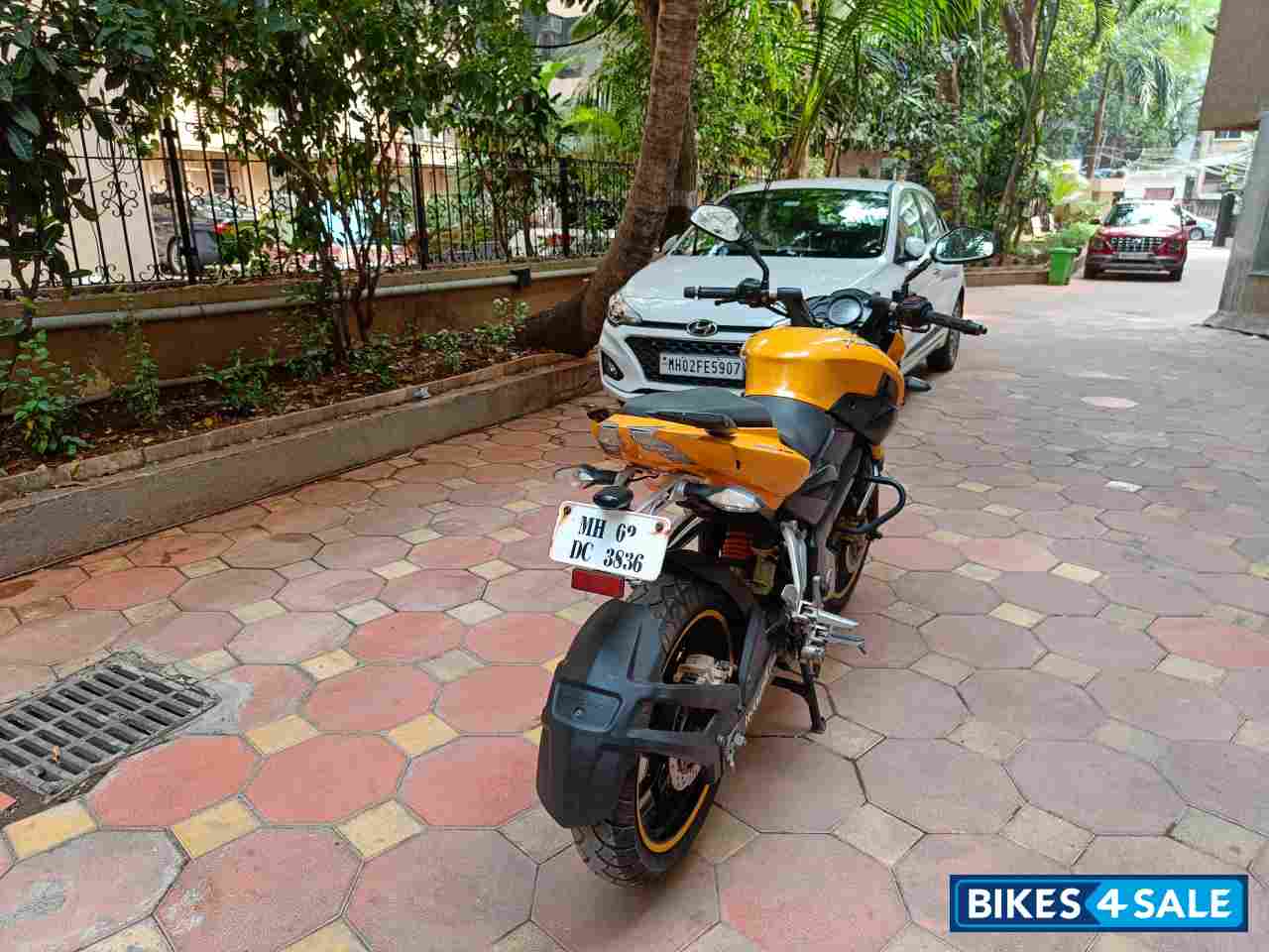 Mustard Yellow Bajaj Pulsar 200 NS Mustard Yellow Bajaj Pulsar 200 NS