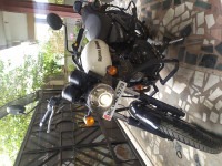 White Royal Enfield Thunderbird X 350