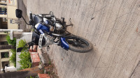 Blue Bajaj V15