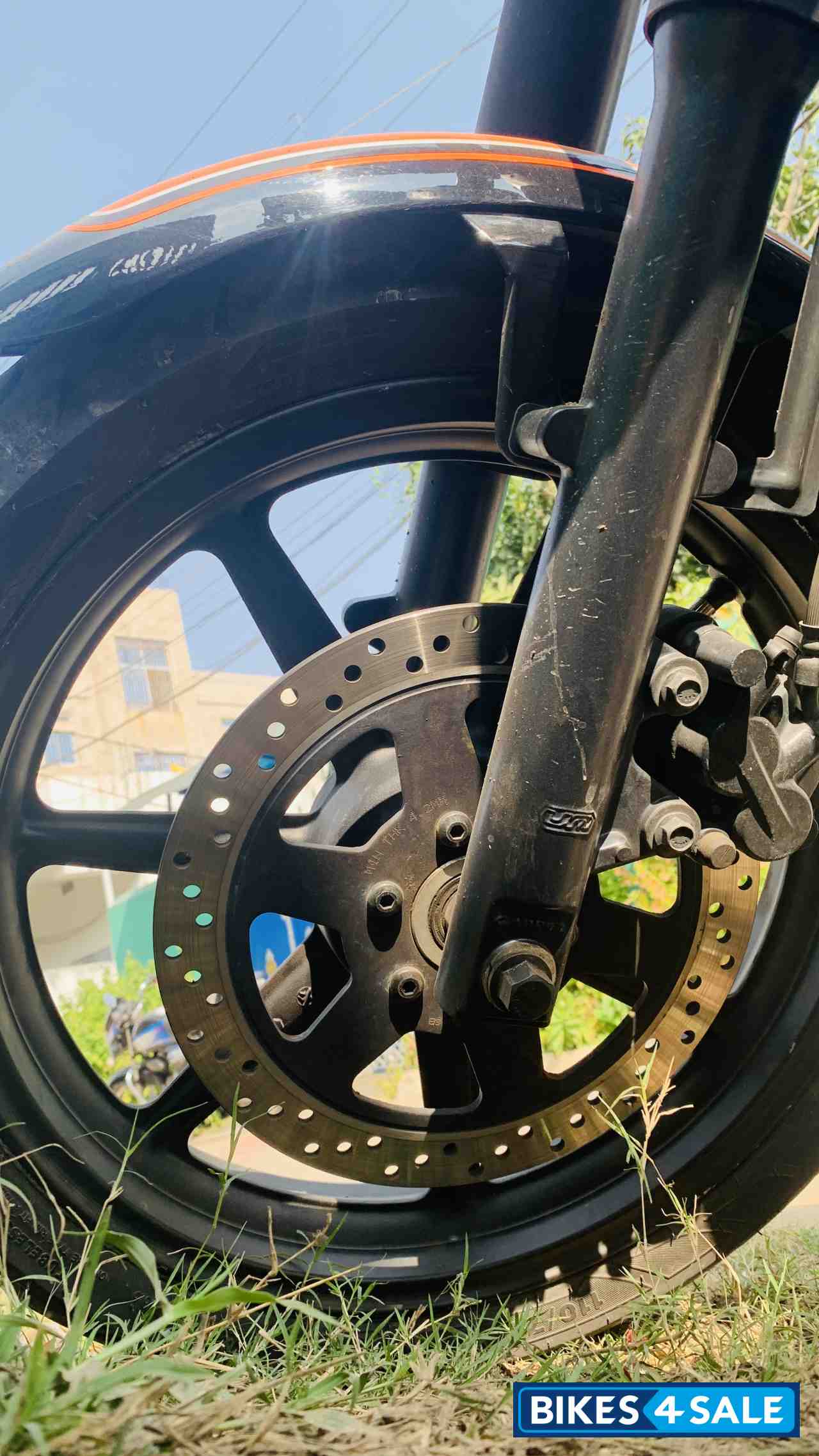 Sports Orange UM Renegade Sports S