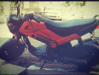 Honda Navi