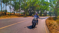 Bajaj Avenger Cruise 220 BS6