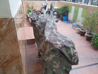 Green Honda CB Hornet 160R