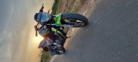 Green & Black Yamaha FZ16
