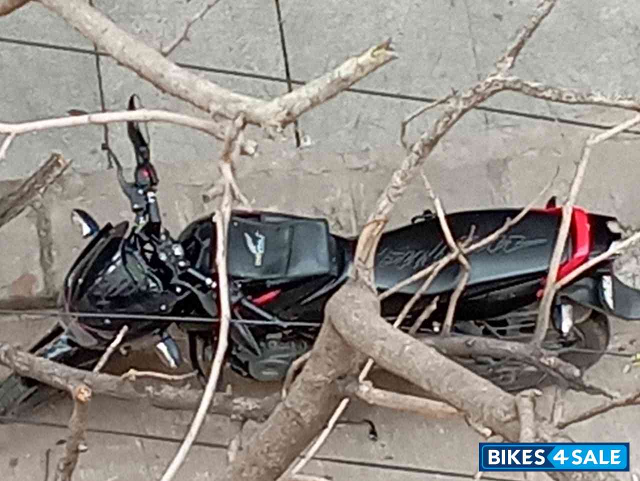 Bajaj Pulsar 150 Neon