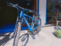 Tezlaa 29er Blue Orange