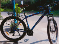 Tezlaa 29er Blue Orange