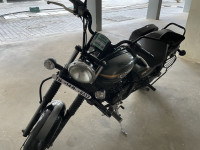 Matte Green (limited Edition) Bajaj Avenger Street 220