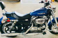 Harley Davidson 1200 Custom 2016 Model