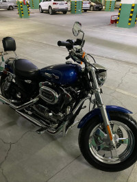 Harley Davidson 1200 Custom