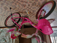 Bicycle Unimax 2017 Model