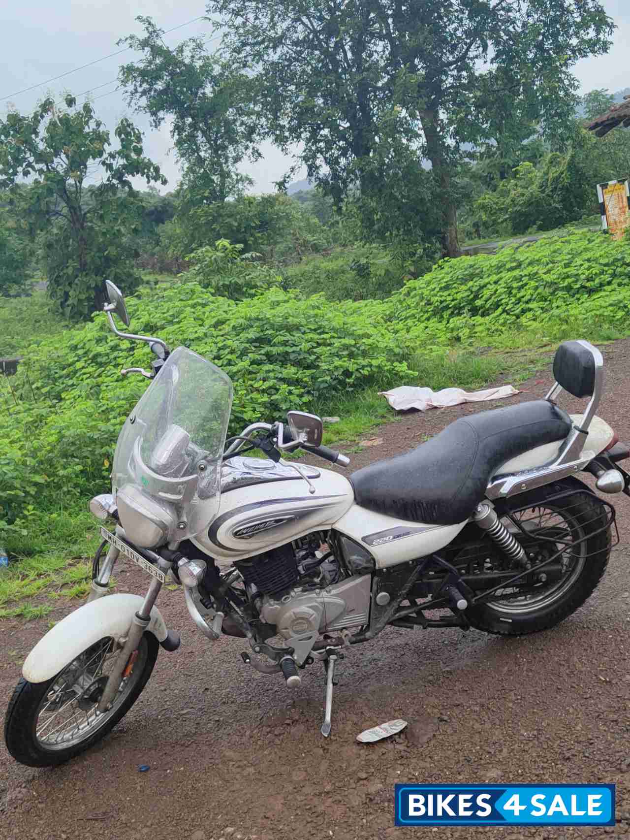 White Bajaj Avenger Cruise 220 BS6