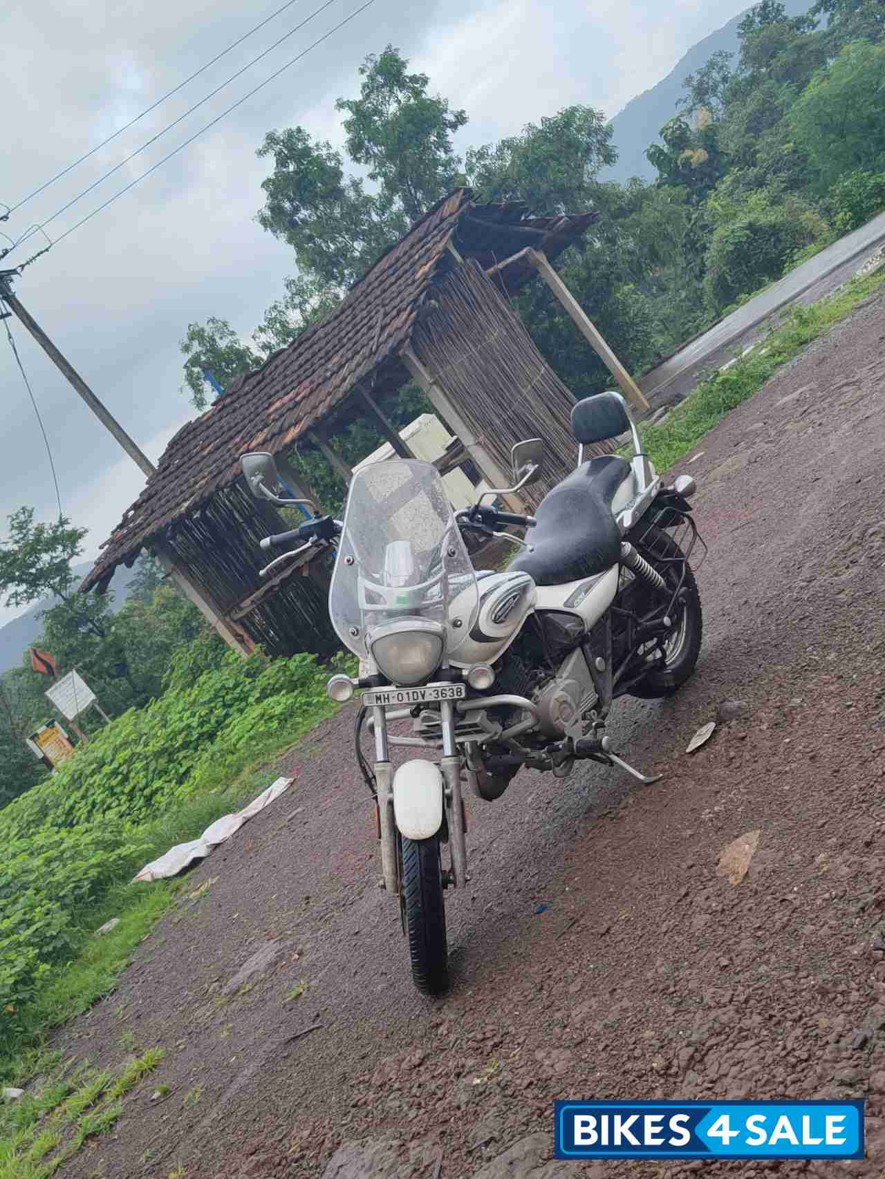 White Bajaj Avenger Cruise 220 BS6