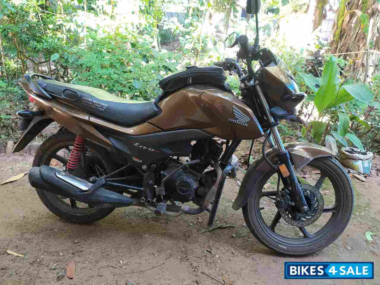 Sunset Brown In Honda Livo 110