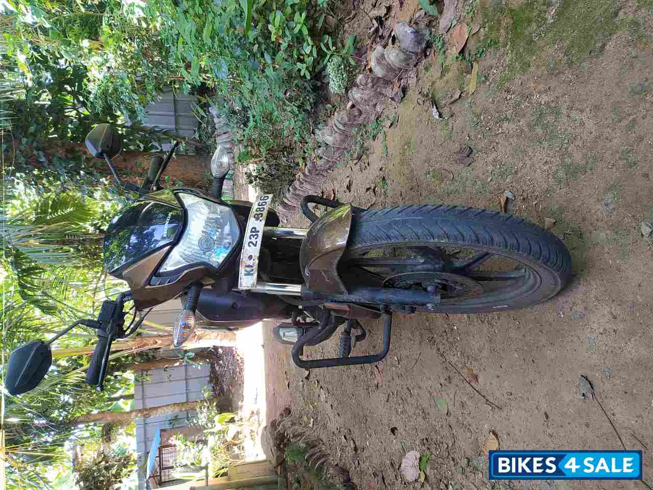 Sunset Brown In Honda Livo 110