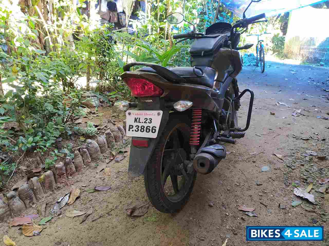 Sunset Brown In Honda Livo 110