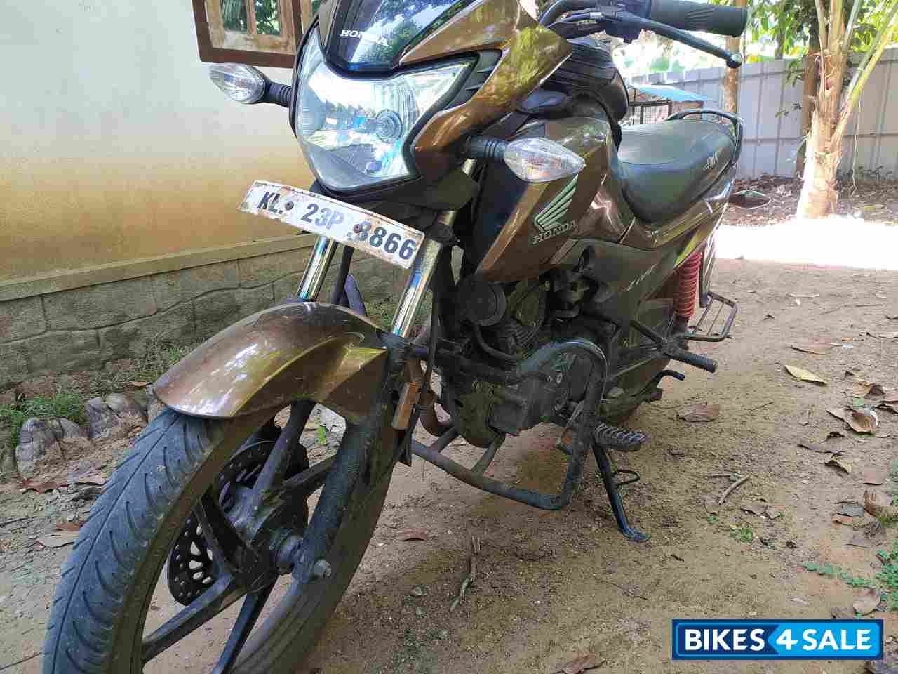 Sunset Brown In Honda Livo 110