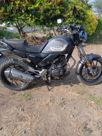 Gray Hero XPulse 200T