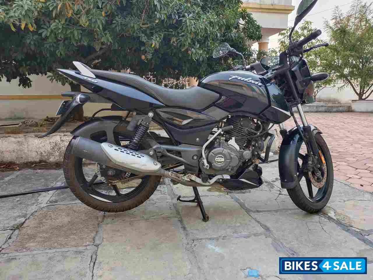 Black Bajaj Pulsar 150 BS6