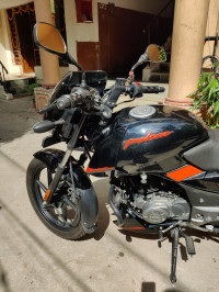 Bajaj Pulsar 125 Split Seat 2020 Model
