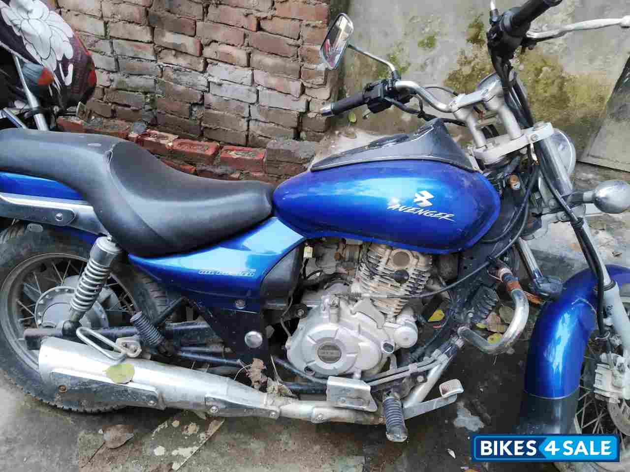 Plasma Blue Bajaj Avenger 220 DTS-i Plasma Blue Bajaj Avenger 220 DTS-i
