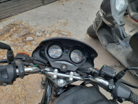 Panther Black Hero Achiever