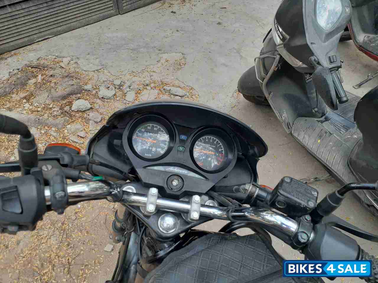 Panther Black Hero Achiever