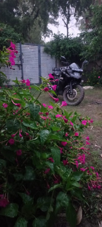 Black Suzuki Gixxer SF Fi