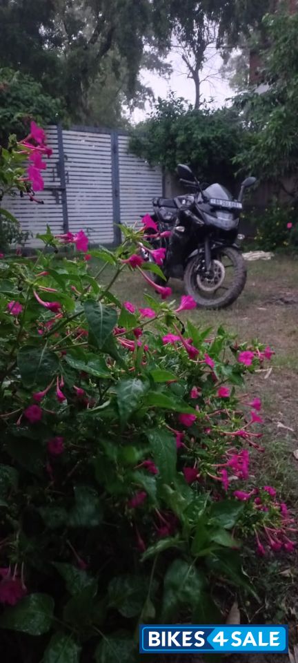 Black Suzuki Gixxer SF Fi