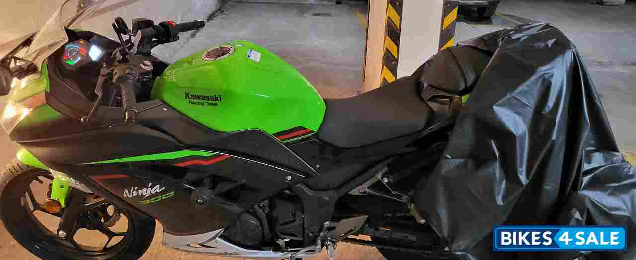 Kawasaki Ninja 300 BS6