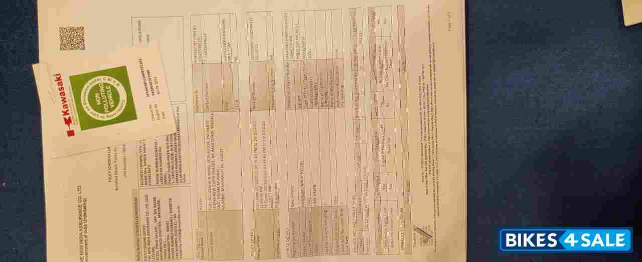 Kawasaki Ninja 300 BS6