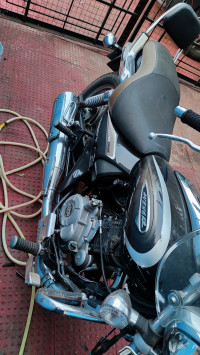 Auburn Black Bajaj Avenger Cruise 220 BS6