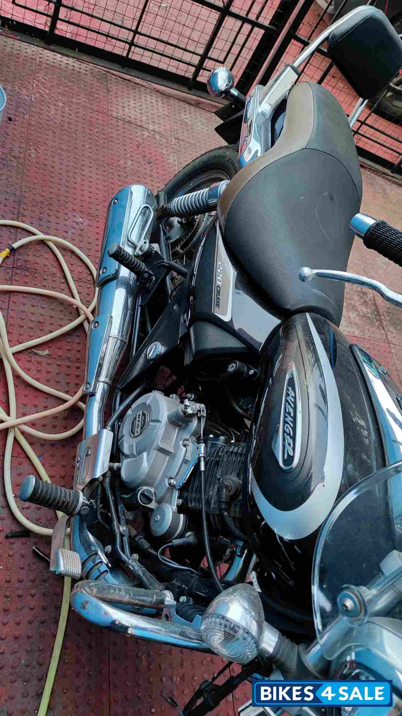Auburn Black Bajaj Avenger Cruise 220 BS6