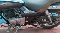 Auburn Black Bajaj Avenger Cruise 220 BS6