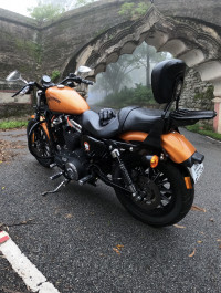 Amber Whisk Harley Davidson Iron 883